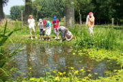 thumbnail - Kriebelbeestjes (Vlaams-Brabant)