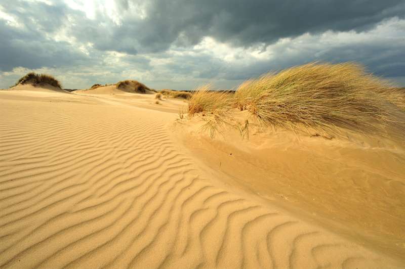 duinen