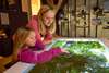 Museum voor Natuurwetenschappen